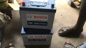Bosch Power 15plate Battery