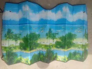 Glass Sun Shade Front
