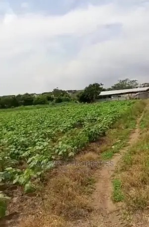 5acres of Main Roadside Land for Sale Nungua Tema Main Road
