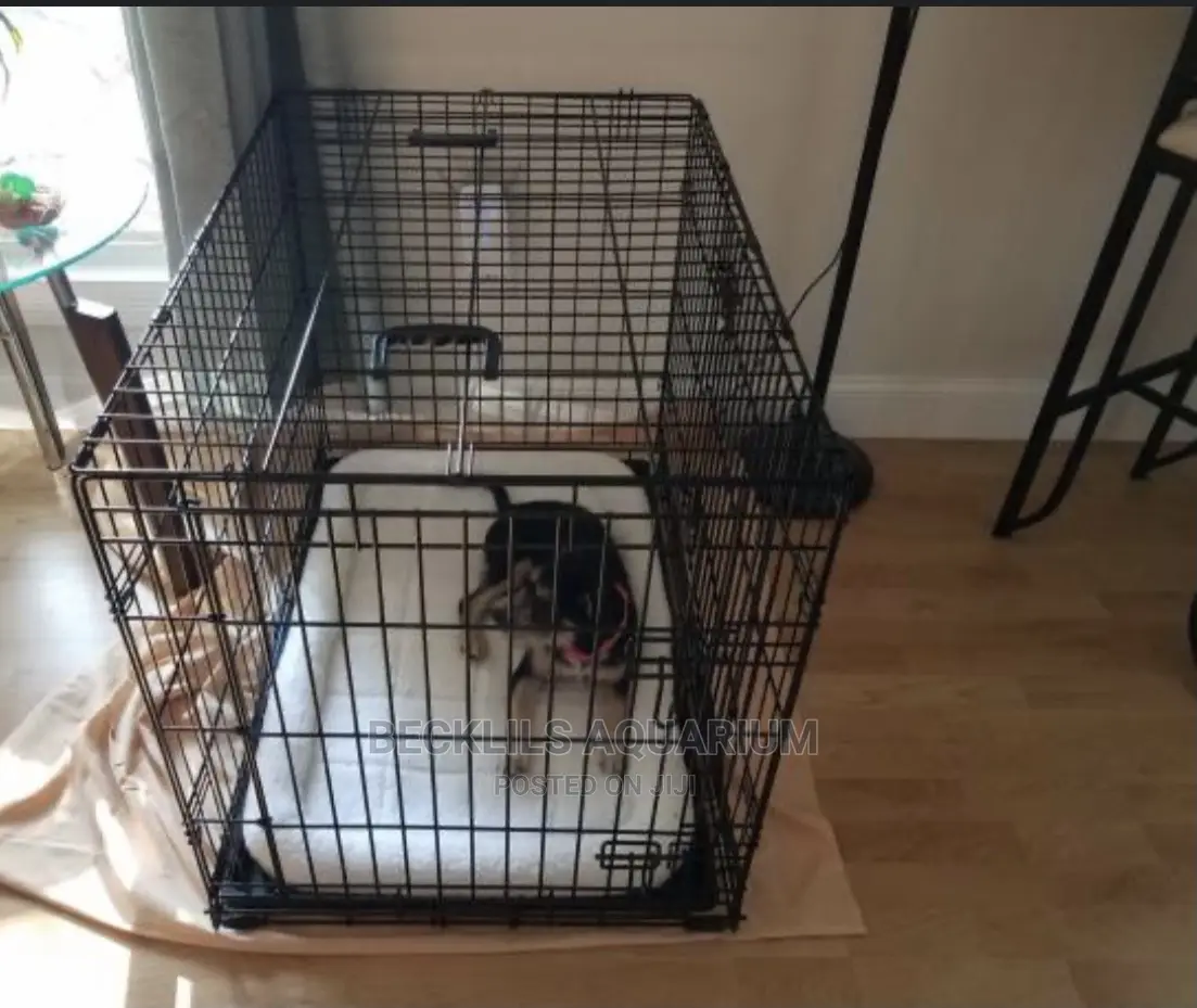 Large Cage for Dogs and Cat