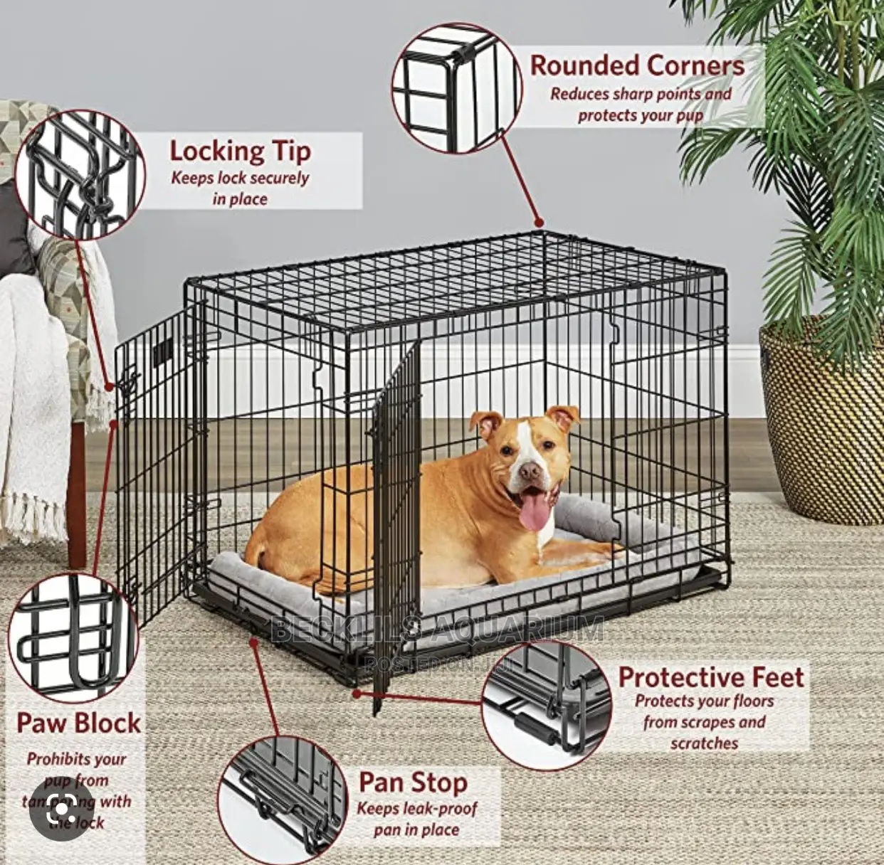 Large Cage for Dogs and Cat