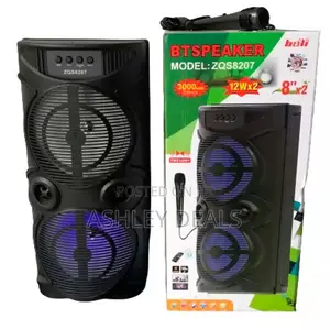 BT Loud Speaker