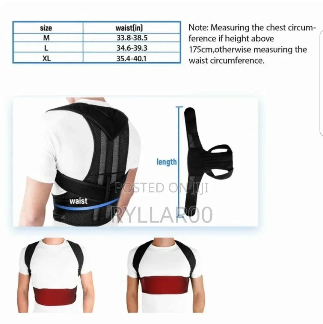 Back Support