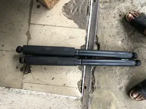 Ford F-150 Back Shocks