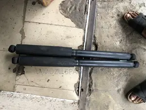 Ford F-150 Back Shocks