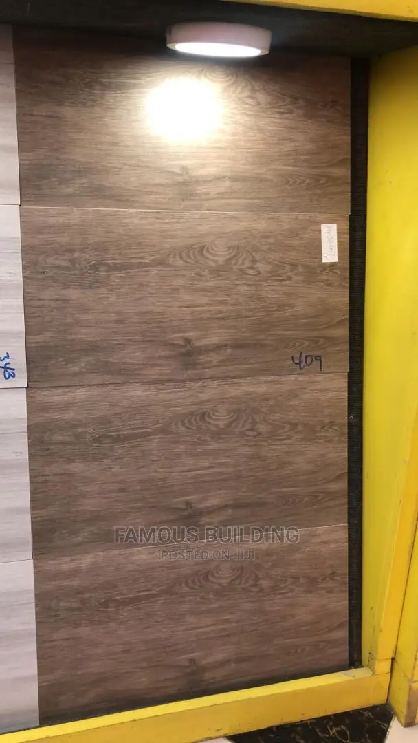 30/60 Tile for Both Floor and Wall