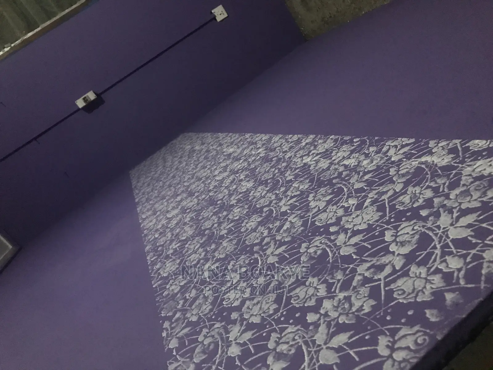 Professional Painter