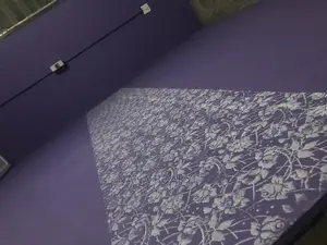 Professional Painter
