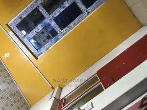 Professional Painter