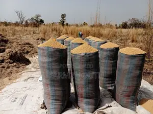 Soya Bean 100kg