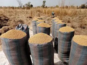 Soya Bean 100kg