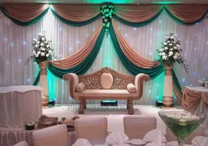 Car Decorations/ Back Drapes Decorations Settings for Events