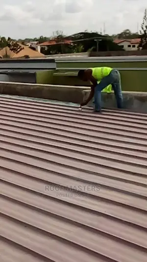 Roof Works/Repairs
