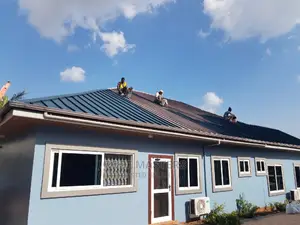 Roof Works/Repairs