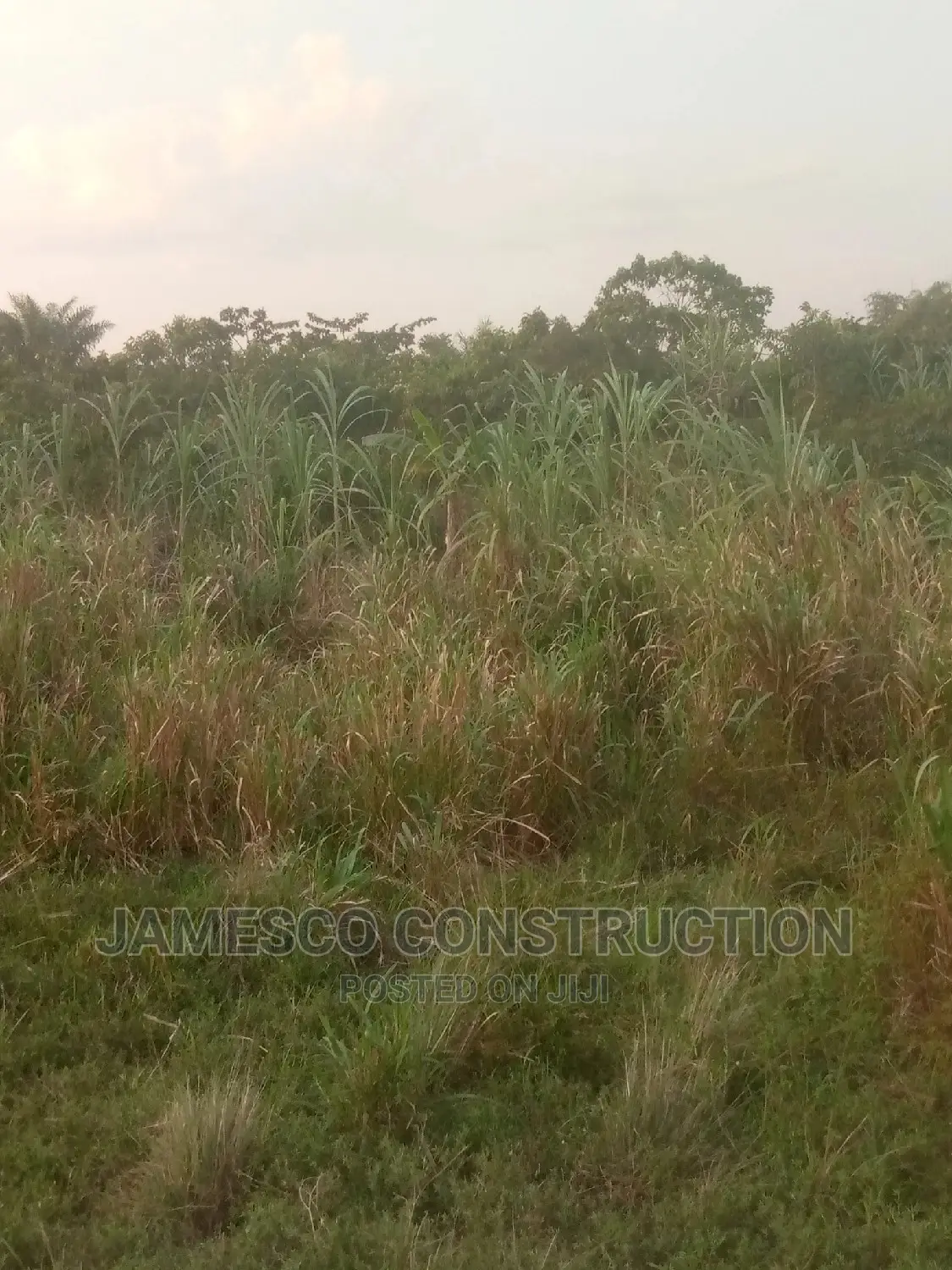 Farms Land