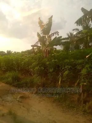 Farms Land