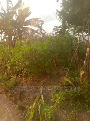 Farms Land