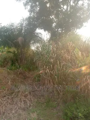 Farms Land