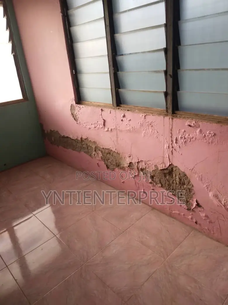 Dampness/ Salty/ Water Stain/ Peeling Wall Treatment