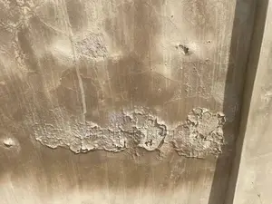 Dampness/ Salty/ Water Stain/ Peeling Wall Treatment
