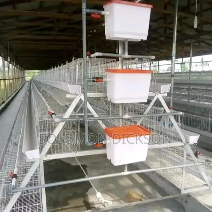 Battery Cage for Poultry Layers