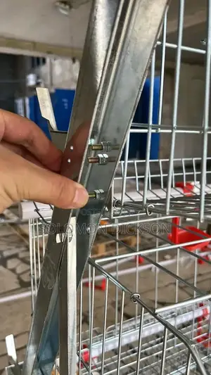 Battery Cage for Poultry Layers