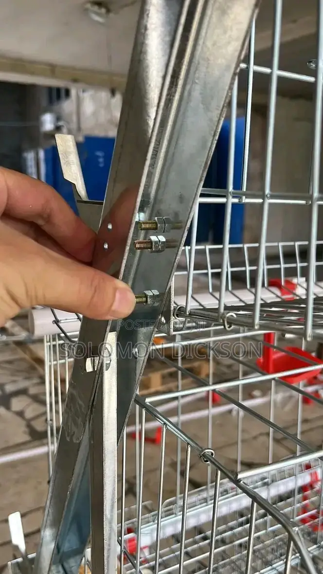 Battery Cage for Poultry Layers