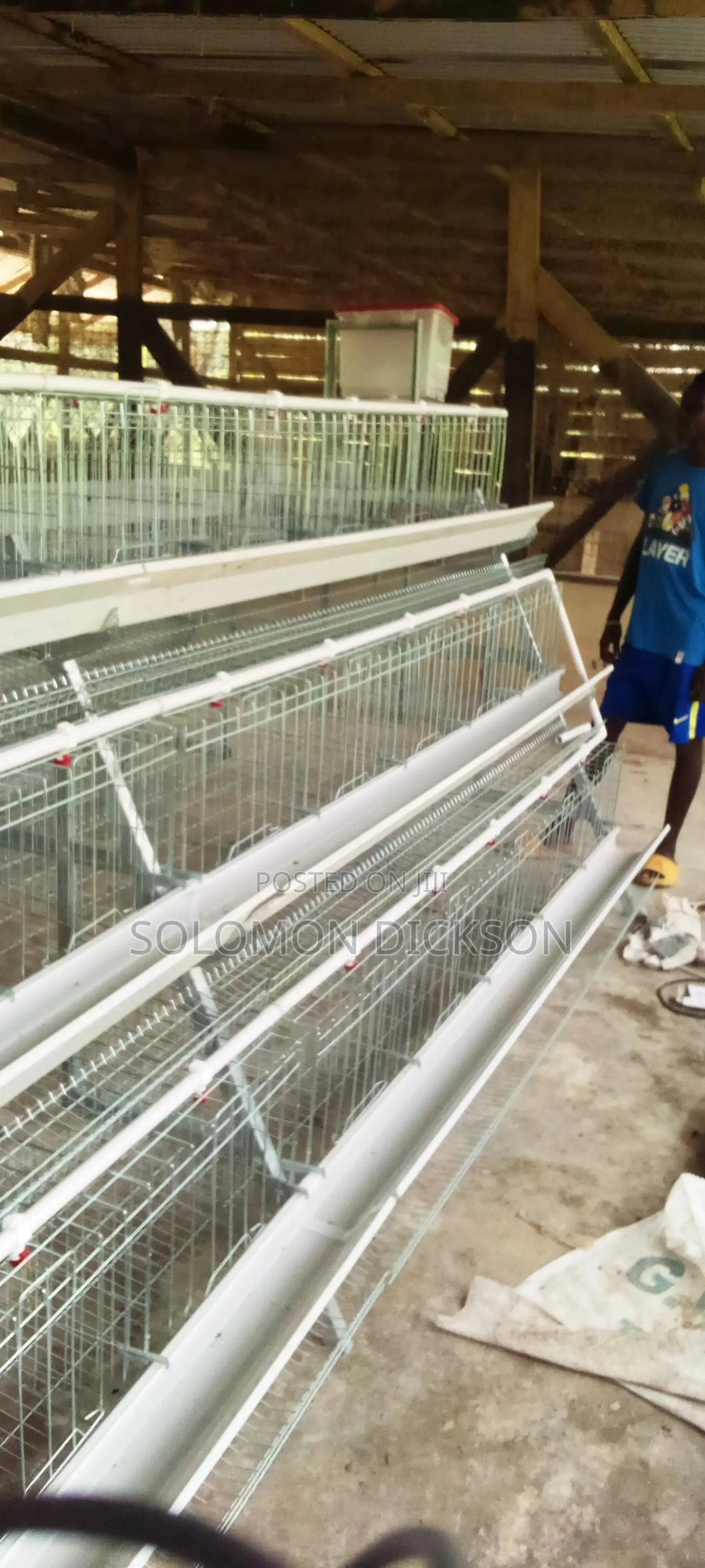 Battery Cage for Poultry Layers