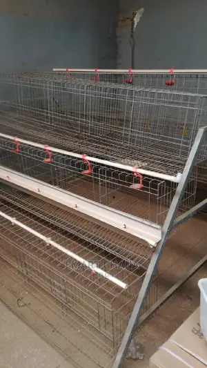 Poultry Cage With Automatic Water System