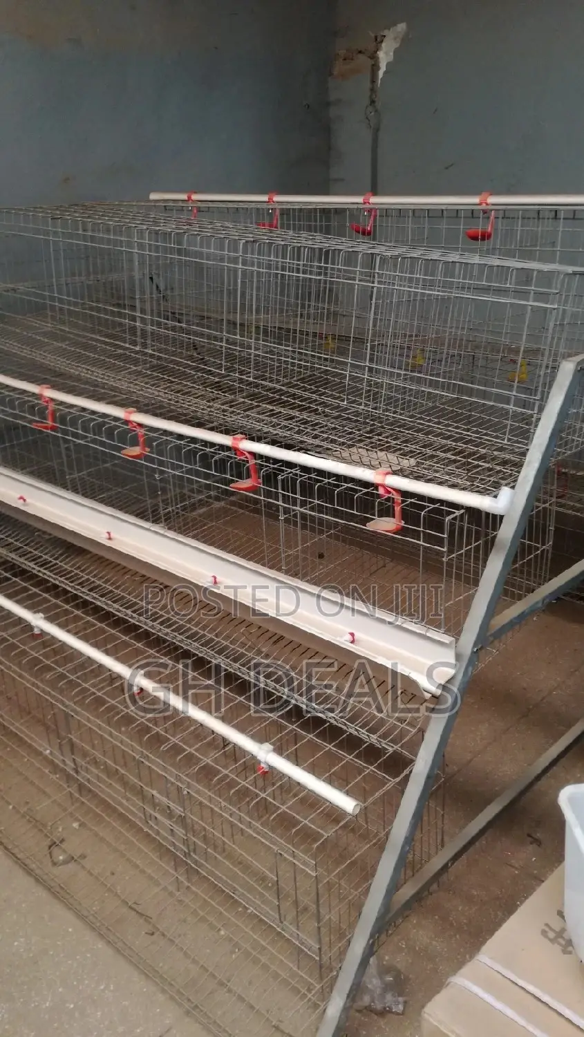 Poultry Cage With Automatic Water System