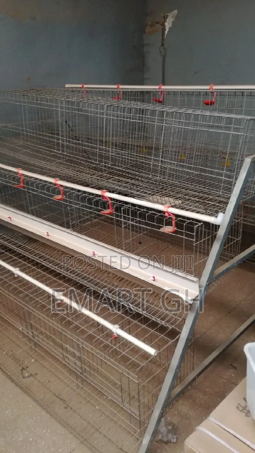 Poultry Cage With Automatic Water System