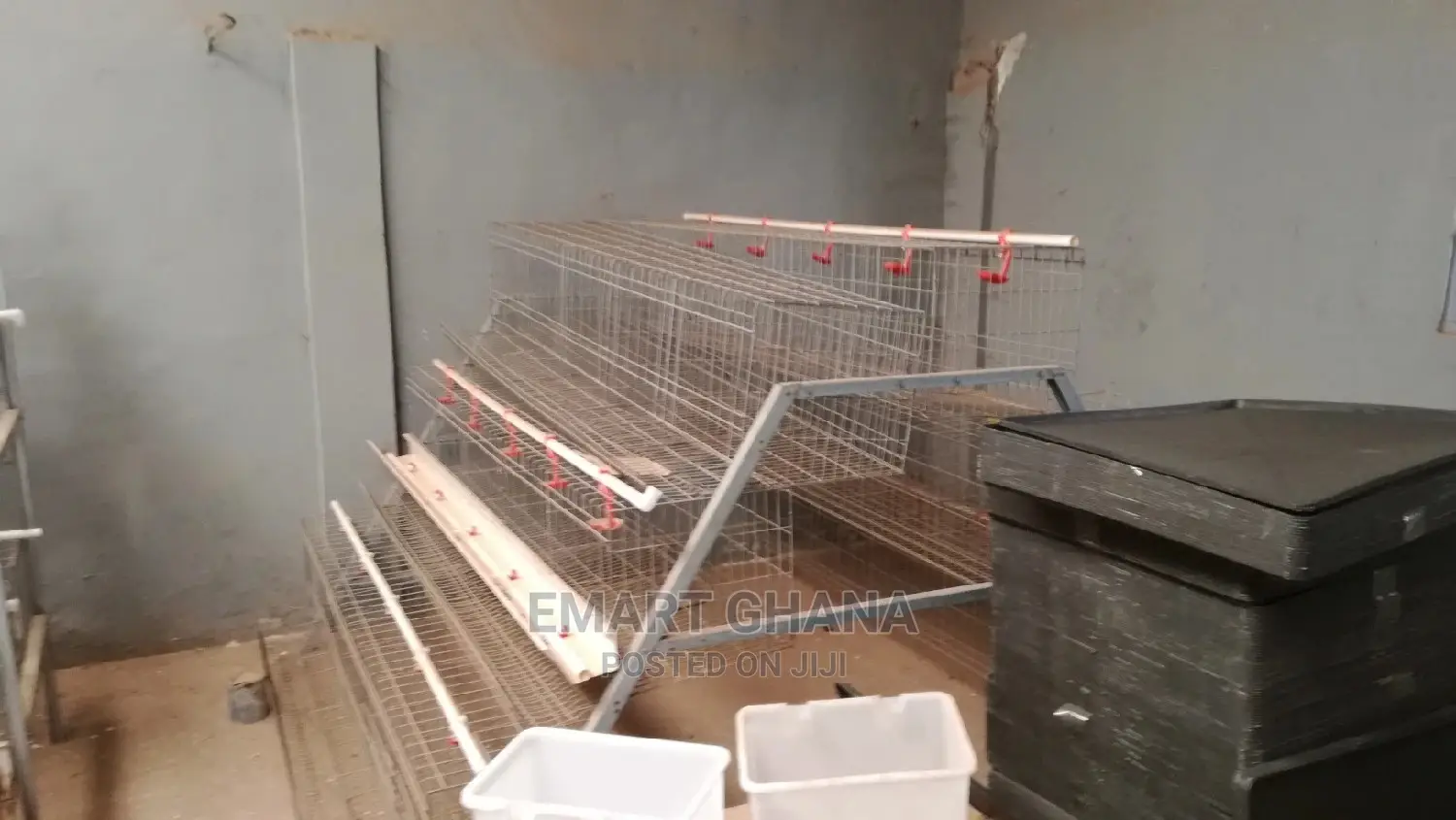 Poultry Cage With Automatic Water System