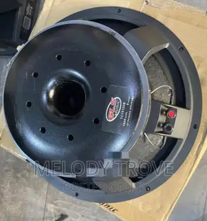 GLS Naked Speaker 15 Inches