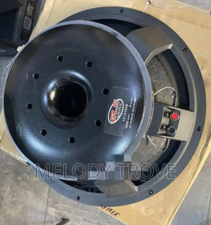 GLS Naked Speaker 15 Inches