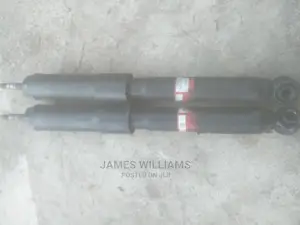 Toyota Landcruiser Back Shock
