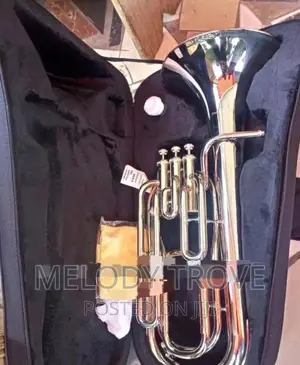 Baritone/Piston Valve Style Silver