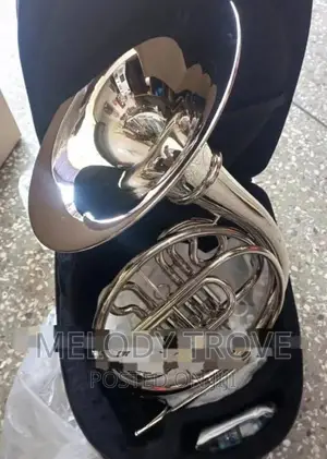 French Horn Silver