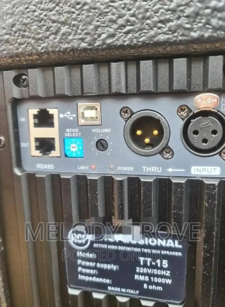 Stage Monitor Active (RCF) - It Comes in a Pair