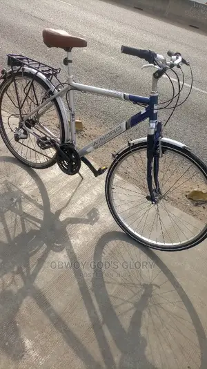Home Mountain Bike