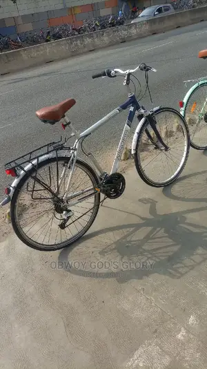 Home Mountain Bike