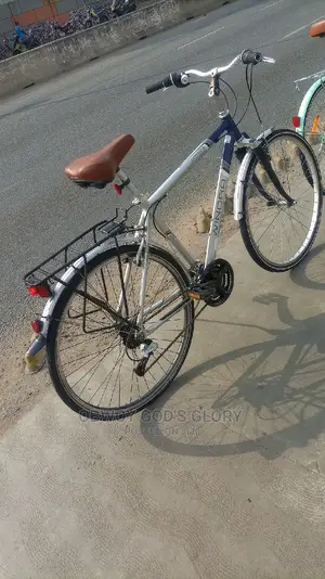 Home Mountain Bike