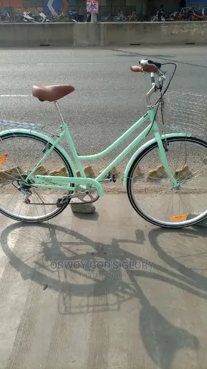 Busanga Carrier Bike