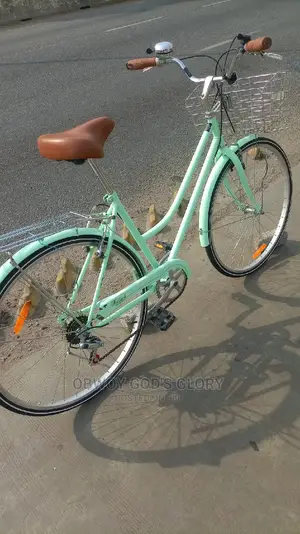 Busanga Carrier Bike