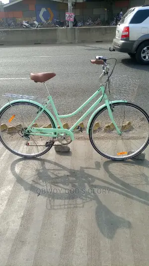 Busanga Carrier Bike