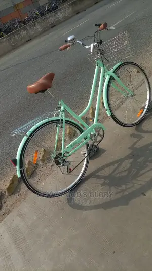 Busanga Carrier Bike