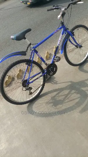 Blue Nice Bicycle