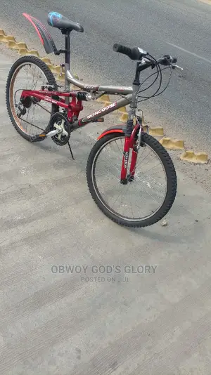 24 Mountain Spring Bike