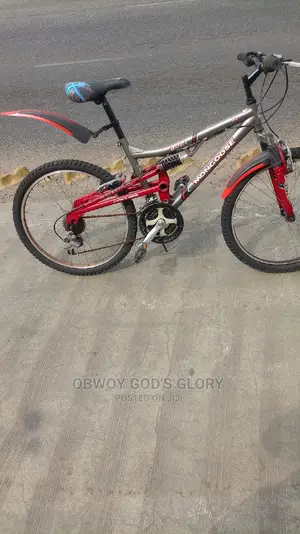 24 Mountain Spring Bike