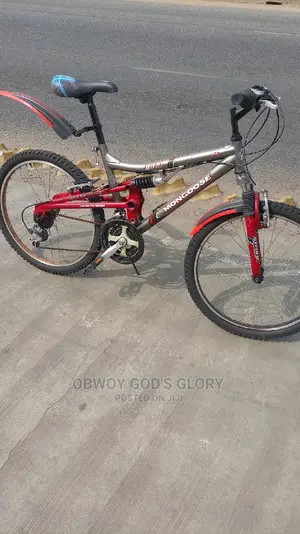 24 Mountain Spring Bike