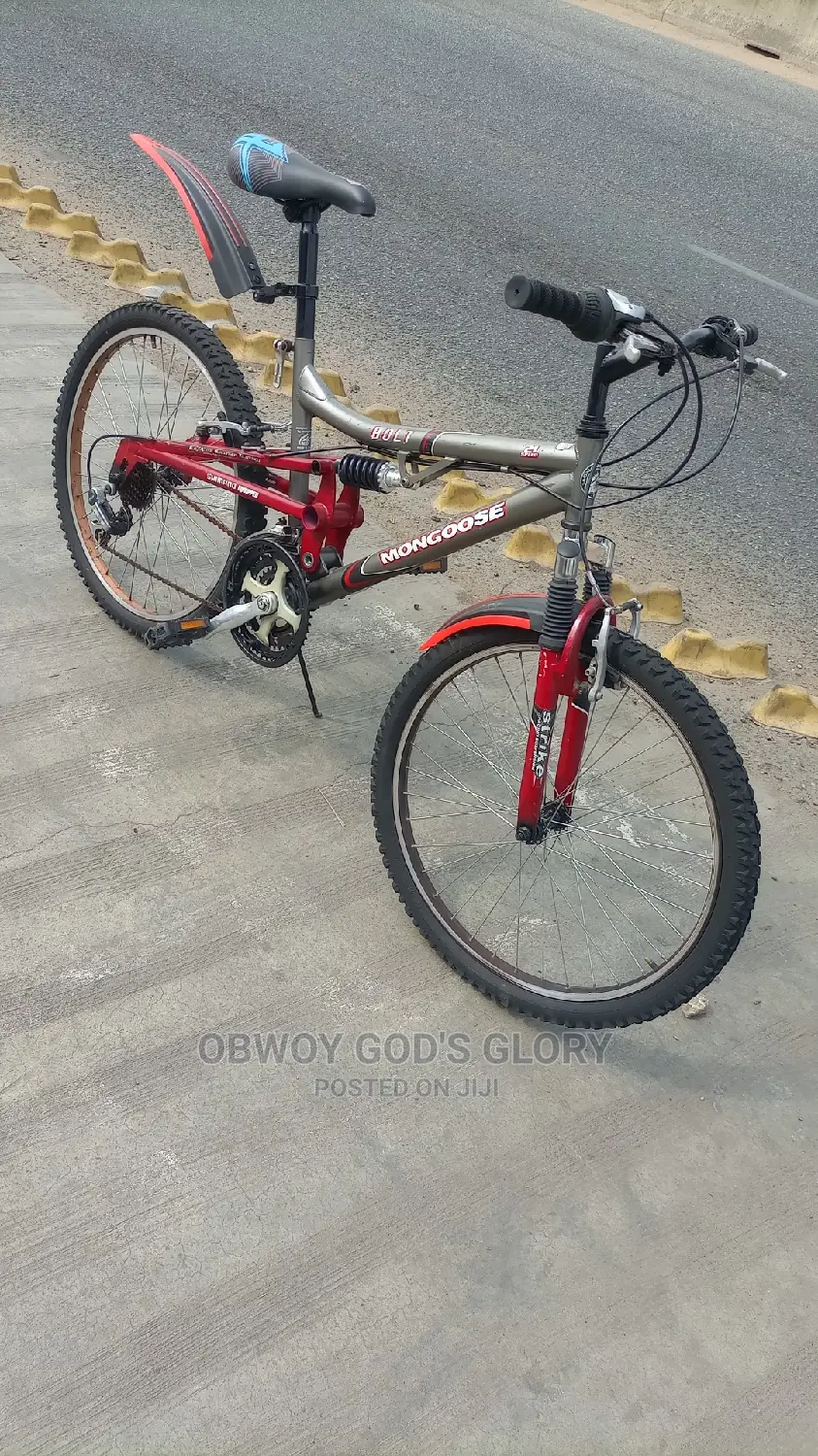 24 Mountain Spring Bike